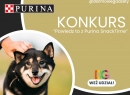 Konkurs „Powiedz to z Purina SnackTime”