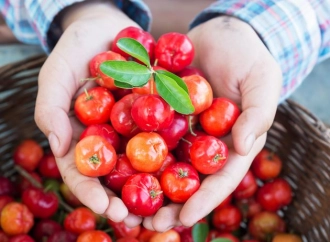 Acerola – skarbnica witaminy C